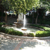 фото из отзыва ID 1775374