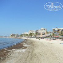 фото из отзыва ID 1775374