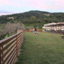 фото из отзыва ID 1775223