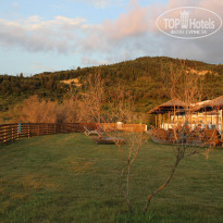 фото из отзыва ID 1775223