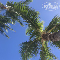 фото из отзыва ID 1775680