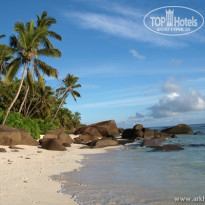 фото из отзыва ID 178677