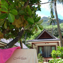 фото из отзыва ID 178677