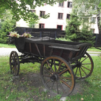 фото из отзыва ID 1780011