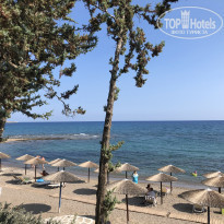 фото из отзыва ID 1780079