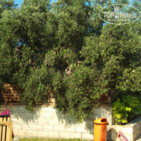 фото из отзыва ID 1780207