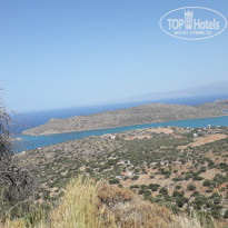 фото из отзыва ID 1780226