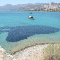 фото из отзыва ID 1780226