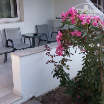 фото из отзыва ID 1780270