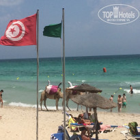 фото из отзыва ID 1780358