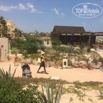 фото из отзыва ID 1780358