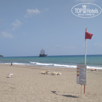 фото из отзыва ID 1780360