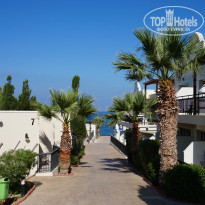 фото из отзыва ID 1780490