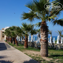 фото из отзыва ID 1780490