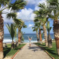 фото из отзыва ID 1780490