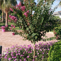 фото из отзыва ID 1780499