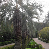 фото из отзыва ID 1780527