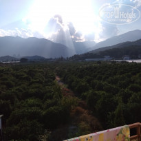 фото из отзыва ID 1780626