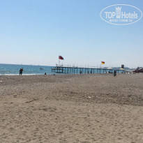 фото из отзыва ID 1780654