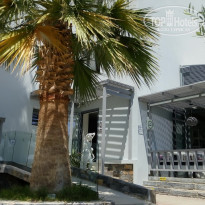 фото из отзыва ID 1780738