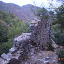 фото из отзыва ID 1780820