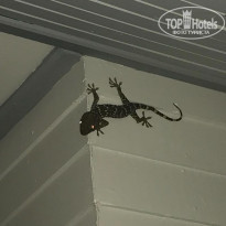 фото из отзыва ID 1780891