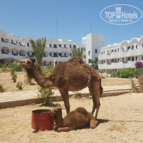 фото из отзыва ID 1781265