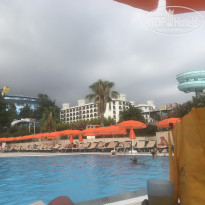 фото из отзыва ID 1781267