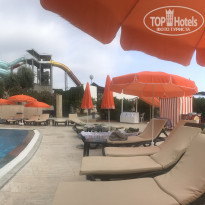 фото из отзыва ID 1781267