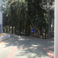 фото из отзыва ID 1781267