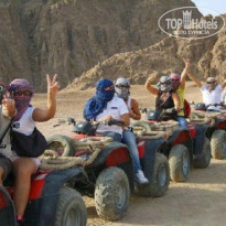 фото из отзыва ID 1781326