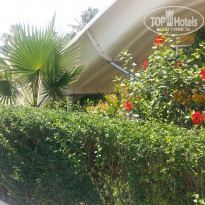 фото из отзыва ID 1781340