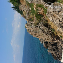 фото из отзыва ID 1781340