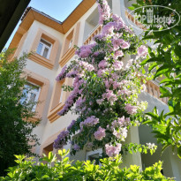 фото из отзыва ID 1781369