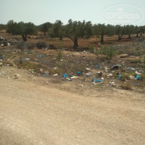 фото из отзыва ID 1781541