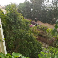 фото из отзыва ID 1781541