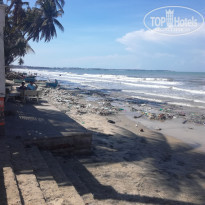 фото из отзыва ID 1781545