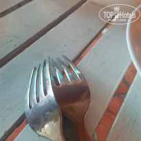 фото из отзыва ID 1781545