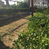 фото из отзыва ID 1781552