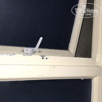 фото из отзыва ID 1781572