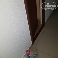 фото из отзыва ID 1781581