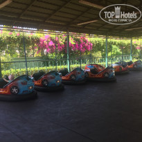 фото из отзыва ID 1781588