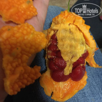 фото из отзыва ID 1781594