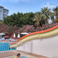 фото из отзыва ID 1781610