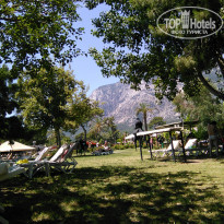 фото из отзыва ID 1781729