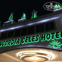 фото из отзыва ID 1781733