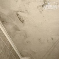 фото из отзыва ID 1781844