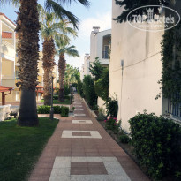 фото из отзыва ID 1781902