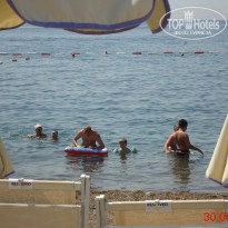 фото из отзыва ID 1781917