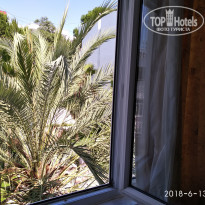 фото из отзыва ID 1782242